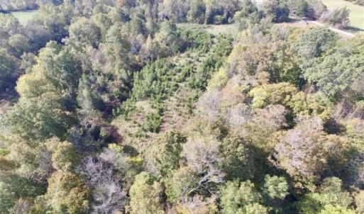 Photo of 30.79 Acres of Recreational Land For Sale in Lunenburg County VA!