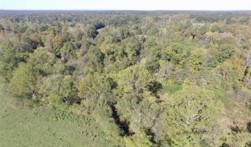 Photo of 30.79 Acres of Recreational Land For Sale in Lunenburg County VA!
