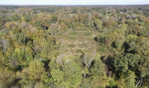 Photo of 30.79 Acres of Recreational Land For Sale in Lunenburg County VA!