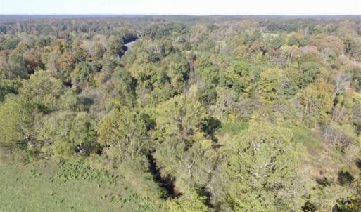 Photo of 30.79 Acres of Recreational Land For Sale in Lunenburg County VA!