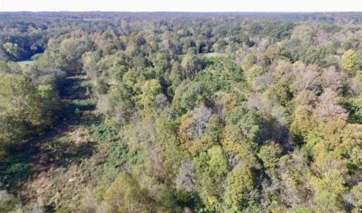 Photo of 30.79 Acres of Recreational Land For Sale in Lunenburg County VA!