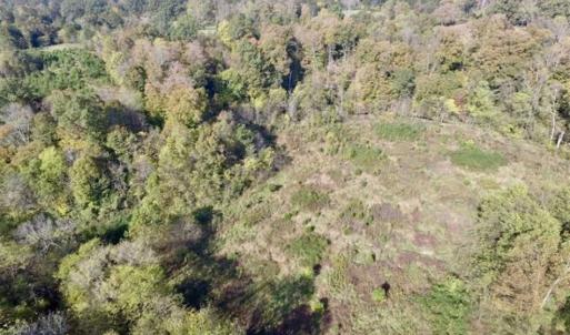Photo of 30.79 Acres of Recreational Land For Sale in Lunenburg County VA!