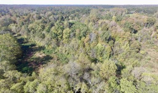 Photo of 30.79 Acres of Recreational Land For Sale in Lunenburg County VA!