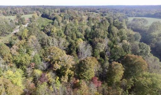 Photo of 30.79 Acres of Recreational Land For Sale in Lunenburg County VA!