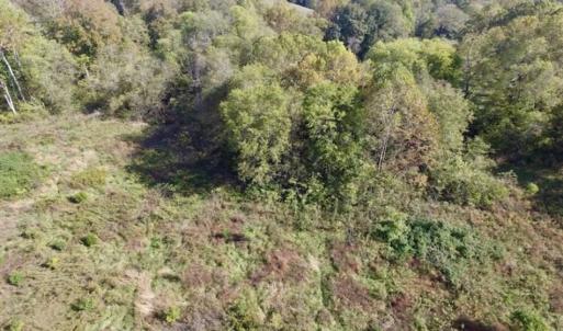 Photo of 30.79 Acres of Recreational Land For Sale in Lunenburg County VA!