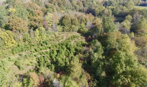 Photo of 30.79 Acres of Recreational Land For Sale in Lunenburg County VA!