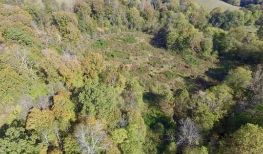Photo of 30.79 Acres of Recreational Land For Sale in Lunenburg County VA!
