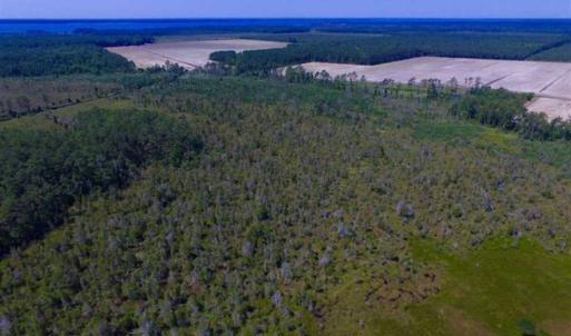 Photo of SOLD!!  547 Acres of Waterfront Hunting Land For Sale in Beaufort County NC!