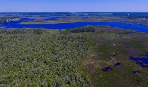 Photo of SOLD!!  547 Acres of Waterfront Hunting Land For Sale in Beaufort County NC!