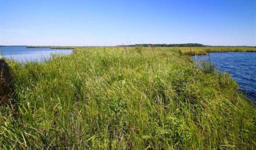Photo of SOLD!!  547 Acres of Waterfront Hunting Land For Sale in Beaufort County NC!