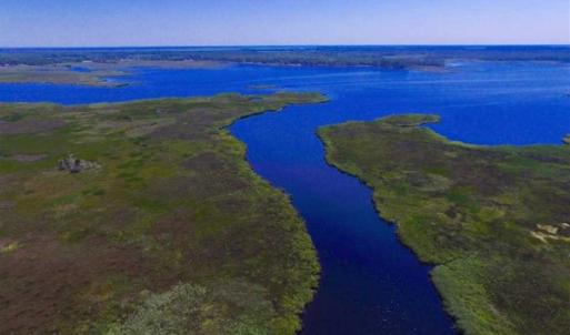Photo of SOLD!!  547 Acres of Waterfront Hunting Land For Sale in Beaufort County NC!
