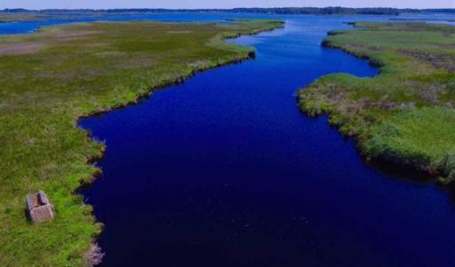 Photo of SOLD!!  547 Acres of Waterfront Hunting Land For Sale in Beaufort County NC!