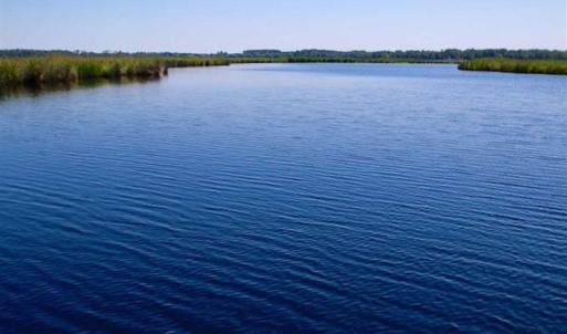 Photo of SOLD!!  547 Acres of Waterfront Hunting Land For Sale in Beaufort County NC!