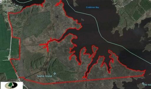 Photo of SOLD!!  547 Acres of Waterfront Hunting Land For Sale in Beaufort County NC!
