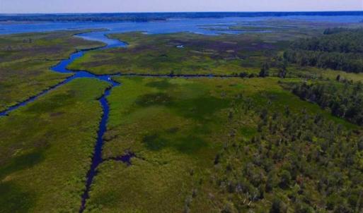 Photo of SOLD!!  547 Acres of Waterfront Hunting Land For Sale in Beaufort County NC!