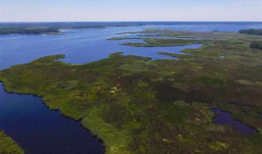Photo of SOLD!!  547 Acres of Waterfront Hunting Land For Sale in Beaufort County NC!