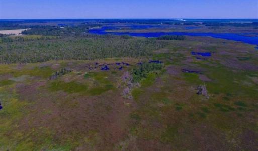 Photo of SOLD!!  547 Acres of Waterfront Hunting Land For Sale in Beaufort County NC!
