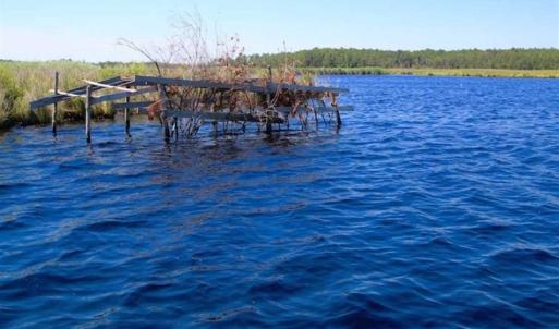 Photo of SOLD!!  547 Acres of Waterfront Hunting Land For Sale in Beaufort County NC!