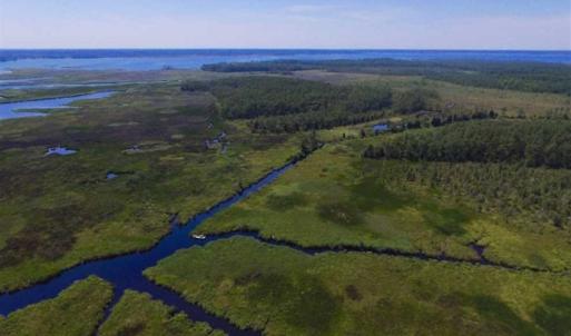 Photo of SOLD!!  547 Acres of Waterfront Hunting Land For Sale in Beaufort County NC!