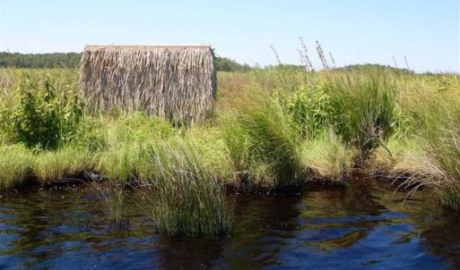 Photo of SOLD!!  547 Acres of Waterfront Hunting Land For Sale in Beaufort County NC!