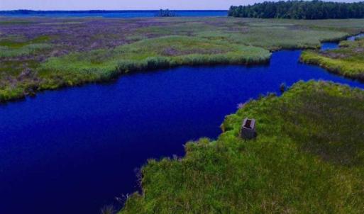 Photo of SOLD!!  547 Acres of Waterfront Hunting Land For Sale in Beaufort County NC!