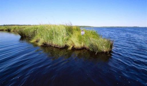 Photo of SOLD!!  547 Acres of Waterfront Hunting Land For Sale in Beaufort County NC!