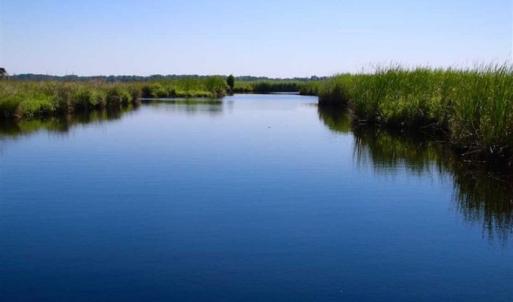 Photo of SOLD!!  547 Acres of Waterfront Hunting Land For Sale in Beaufort County NC!