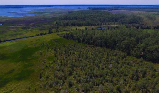 Photo of SOLD!!  547 Acres of Waterfront Hunting Land For Sale in Beaufort County NC!