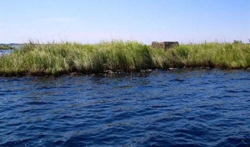 Photo of SOLD!!  547 Acres of Waterfront Hunting Land For Sale in Beaufort County NC!