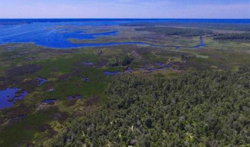 Photo of SOLD!!  547 Acres of Waterfront Hunting Land For Sale in Beaufort County NC!