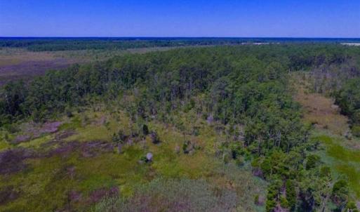 Photo of SOLD!!  547 Acres of Waterfront Hunting Land For Sale in Beaufort County NC!