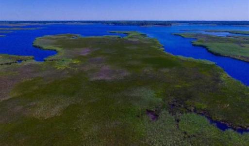 Photo of SOLD!!  547 Acres of Waterfront Hunting Land For Sale in Beaufort County NC!