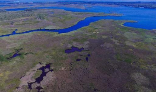 Photo of SOLD!!  547 Acres of Waterfront Hunting Land For Sale in Beaufort County NC!