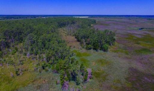 Photo of SOLD!!  547 Acres of Waterfront Hunting Land For Sale in Beaufort County NC!