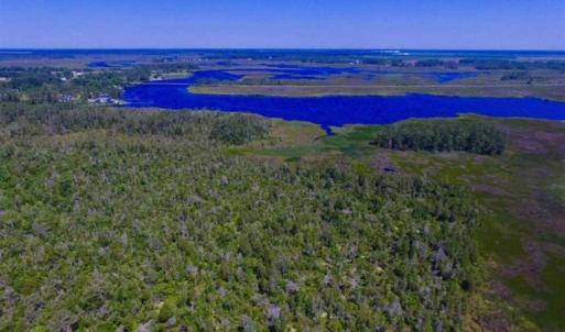 Photo of SOLD!!  547 Acres of Waterfront Hunting Land For Sale in Beaufort County NC!