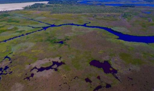 Photo of SOLD!!  547 Acres of Waterfront Hunting Land For Sale in Beaufort County NC!