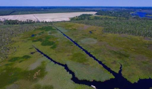 Photo of SOLD!!  547 Acres of Waterfront Hunting Land For Sale in Beaufort County NC!