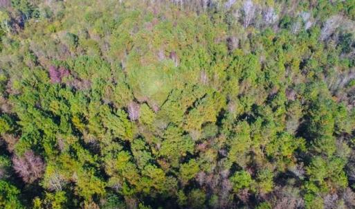 Photo of SOLD!!  10.6 Acres of Wooded Residential Land For Sale in Harnett County NC!