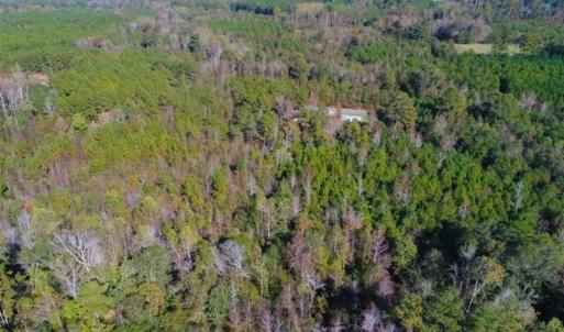Photo of SOLD!!  10.6 Acres of Wooded Residential Land For Sale in Harnett County NC!