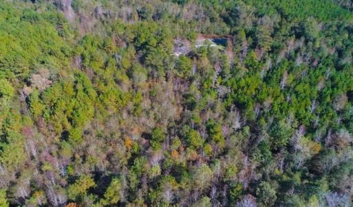 Photo of SOLD!!  10.6 Acres of Wooded Residential Land For Sale in Harnett County NC!