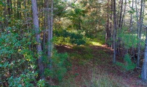 Photo of SOLD!!  10.6 Acres of Wooded Residential Land For Sale in Harnett County NC!