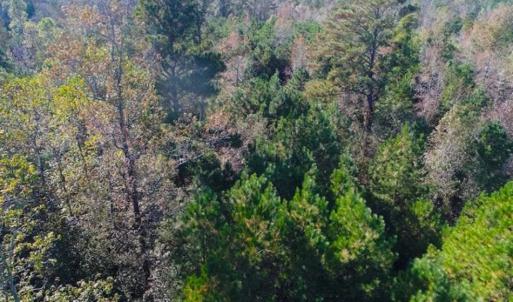 Photo of SOLD!!  10.6 Acres of Wooded Residential Land For Sale in Harnett County NC!