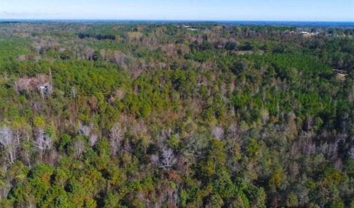 Photo of SOLD!!  10.6 Acres of Wooded Residential Land For Sale in Harnett County NC!