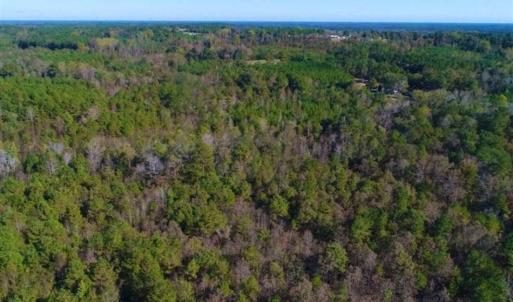 Photo of SOLD!!  10.6 Acres of Wooded Residential Land For Sale in Harnett County NC!