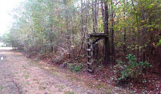 Photo of SOLD!!  138 Acres of Hunting Land For Sale in Southampton County VA!