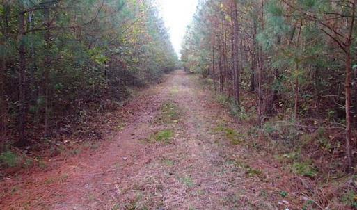 Photo of SOLD!!  138 Acres of Hunting Land For Sale in Southampton County VA!