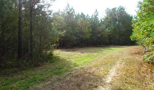 Photo of SOLD!!  138 Acres of Hunting Land For Sale in Southampton County VA!