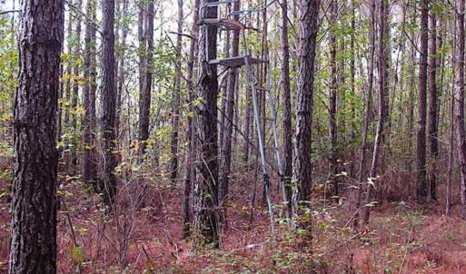 Photo of SOLD!!  138 Acres of Hunting Land For Sale in Southampton County VA!