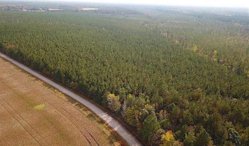 Photo of SOLD!!  138 Acres of Hunting Land For Sale in Southampton County VA!
