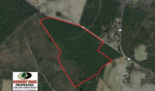 Photo of SOLD!!  138 Acres of Hunting Land For Sale in Southampton County VA!